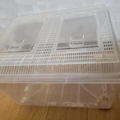 虫かご　特大プラケース
