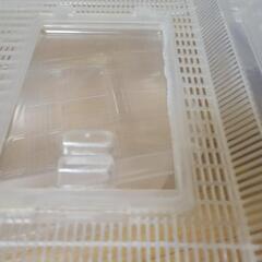 虫かご　特大プラケースの画像