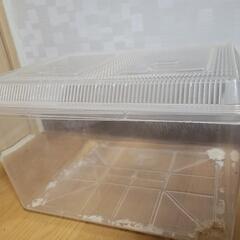 虫かご　特大プラケースの画像