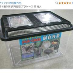 虫かご　特大プラケースの画像