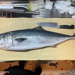 釣り仲間募集 - 大分市