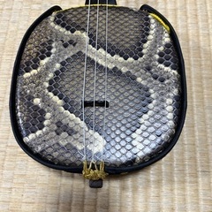 三線 沖縄 三味線 さんしん