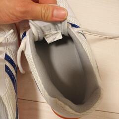 体育館シューズの画像