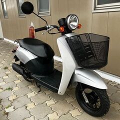 長野県岡谷市より　ブラックフライデーに便乗！　11月末まで特別セール　長野県内と山梨は甲府まで配送無料！の画像