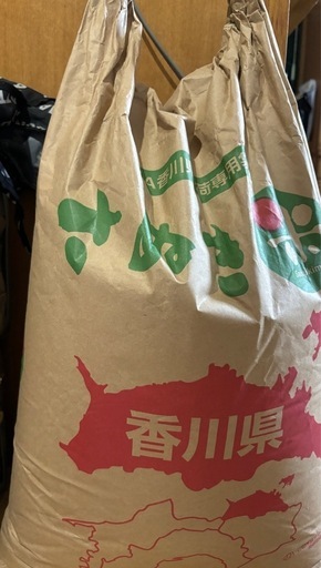 智通10本入り 新品未開封 ！ 乳酸菌生成エキス アルベックスの原液