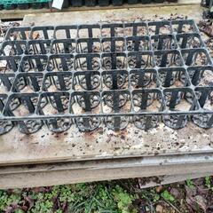 ★トレイ　無料‼️