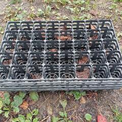 ★トレイ　無料‼️の画像