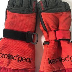 PHENIX フェニックス　スノー手袋　keprotec gear BION Ⅱ　Mサイズの画像