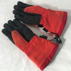 PHENIX フェニックス　スノー手袋　keprotec gear BION Ⅱ　Mサイズの画像