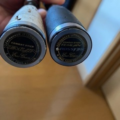 エバーグリーン　テムジン　2本セットの画像