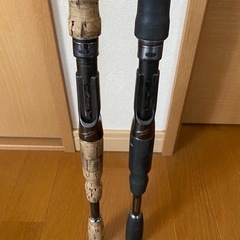 エバーグリーン　テムジン　2本セットの画像