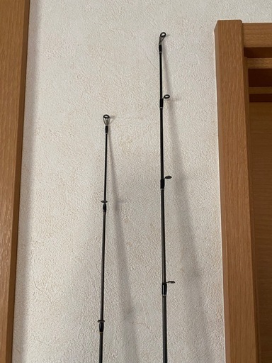 エバーグリーン　テムジン　2本セット
