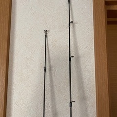 エバーグリーン　テムジン　2本セットの画像