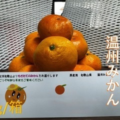 紀州温州有田みかん　訳あり品　本州、四国、九州送料無料　5kg