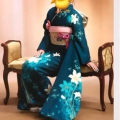 高級正絹 八王寺きものにしわ 和服 和装 着物