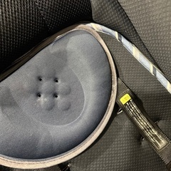 ピジョン　ランフィ　リノン　RA9Lの画像