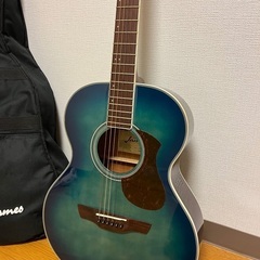 James J-300A EBU 島村楽器 ジェームス アコース...