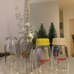 Pigeon Baby Bottle Glass (Final ...