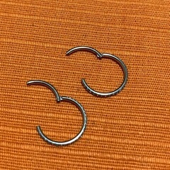 セグメントピアス 差し上げます 郵便発送対応の画像