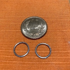 セグメントピアス 差し上げます 郵便発送対応の画像