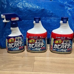浴室用カビとり剤 
強力カビハイター
