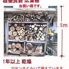 薪　大人気！薪ストーブ用乾燥薪・キャンプ用薪☆☆ 1年前に伐採し...