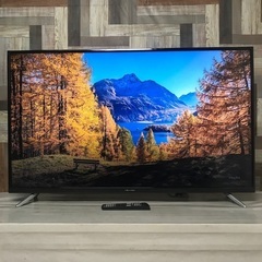 即日受渡❣️全国送料込 ネクシオン50型液晶テレビ　外付けHDD録画対応 Amazon | ネクシオン 50V型BS/110度CS/地上波デジタル(ダブル