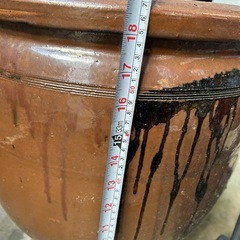 大水瓶 　メダカ　睡莲 の画像