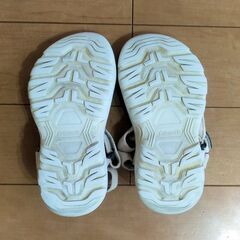 【Coleman】サンダル【19cm】の画像