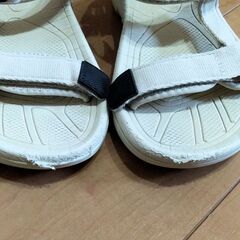 【Coleman】サンダル【19cm】の画像