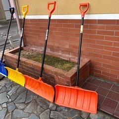 ハンドラッセルの画像