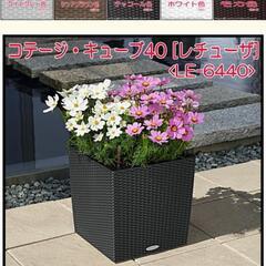★ドイツ製　高級プランター　約３万で購入