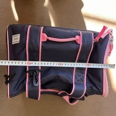 折りたたみ　ペットバック
