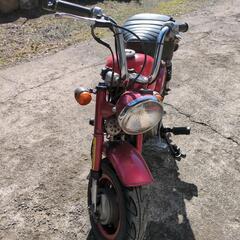 モンキー z50の画像