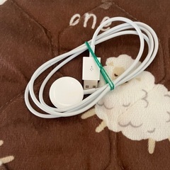 11/30 17時に有楽町駅か新宿駅で　美品　純正　Apple ...