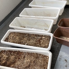 プランター 大5つ　中2つ　家庭菜園　