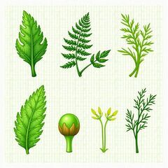 かんとう山菜取り🌱 - メンバー募集