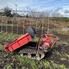 【八戸市内配送可】運搬車 手動ダンプ  の画像