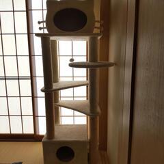 キャットタワー ツリー 猫 動物