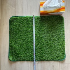 人工芝床マットの画像