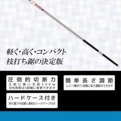 ニシガキ　　枝打ち一発
の画像