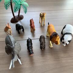 動物フィギュア　セット