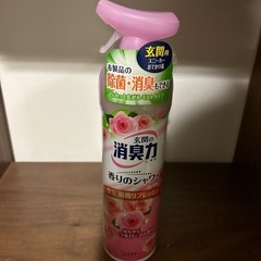 玄関の消臭力　