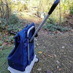 お買い物キャリー　象印ベビーキャリーライトW138の画像