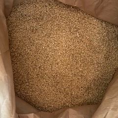 [値下げしました]新米 鳥取県産ひとめぼれ玄米30kg+洗濯用洗...