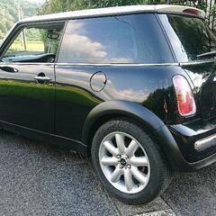 ミニ(最終値下げ)の画像