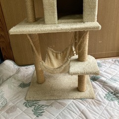 キャットタワーの画像