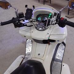 価格交渉‼️マジェスティ風トライク250cc