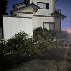焚き木 伐採 庭木の画像