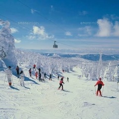 スキー、スノボ仲間募集⛷️🏂